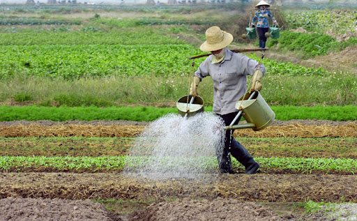 Tư vấn thủ tục thành lập hợp tác xã tại Sơn Động