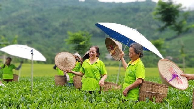 Trình tự thủ tục thành lập hợp tác xã tại Yên Thế