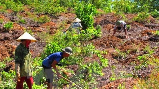 Tranh chấp đất nông nghiệp chưa có giấy chứng nhận quyền sử dụng đất