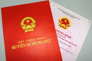 Công nhận quyền sử dụng đất đã sử dụng từ năm 1992