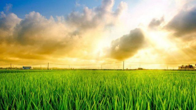 Dịch vụ sang tên sổ đỏ đất nông nghiệp tại Huyện La Pa