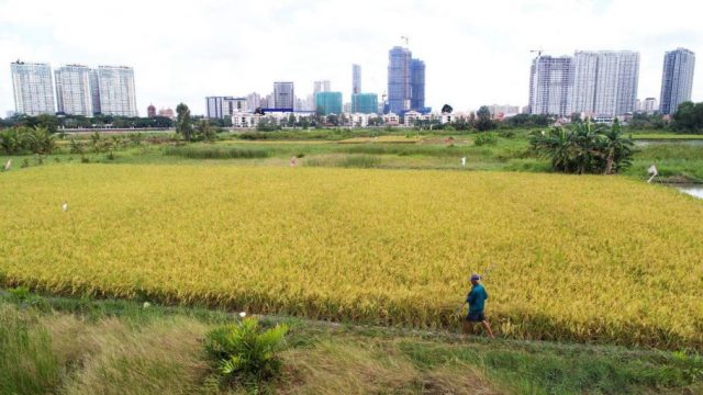 Thủ tục chuyển đổi đất nông nghiệp sang đất ở tại Thành Phố Pleiku