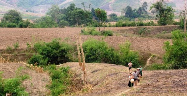 Cấp giấy chứng nhận quyền sử dụng đất đối với đất khai hoang