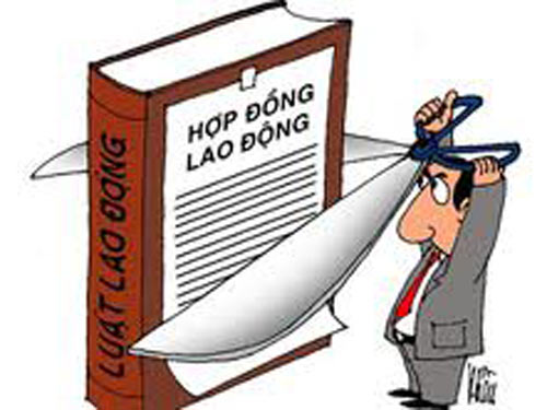 Hợp đồng lao động có bắt buộc phải lập thành văn bản không?