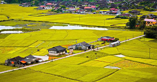 Phí chuyển đổi đất ruộng sang đất ở