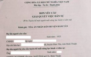 Mẫu đơn yêu cầu tuyên bố người mất năng lực hành vi dân sự mới nhất 