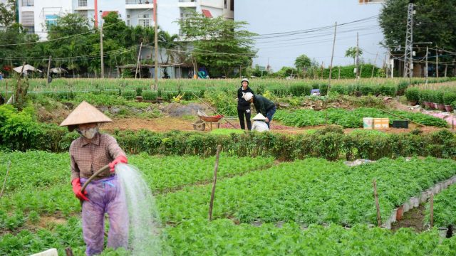 Chuyển từ đất vườn sang đất ở mất bao nhiêu tiền?