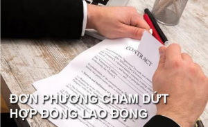 Người sử dụng lao động đơn phương chấm dứt hợp đồng lao động với người lao động giúp việc gia đình