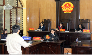 Người tiến hành tố tụng là gì?
