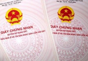 Hai người mua chung đất được cấp mấy sổ đỏ?