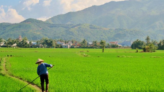 Quy định về quyền chuyển đổi quyền sử dụng đất nông nghiệp