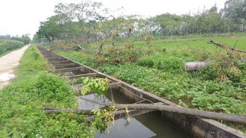 Luật sư tư vấn đất hành lang kênh mương