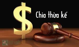 Thủ tục phân chia thừa kế tại Huyện Nghĩa Đàn – Gọi 19006574