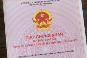 Cấp giấy chứng nhận quyền sử dụng đất trên diện tích đất khai hoang