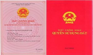 Cấp giấy chứng nhận quyền sử dụng đất khi sử dụng đất trước năm 1993