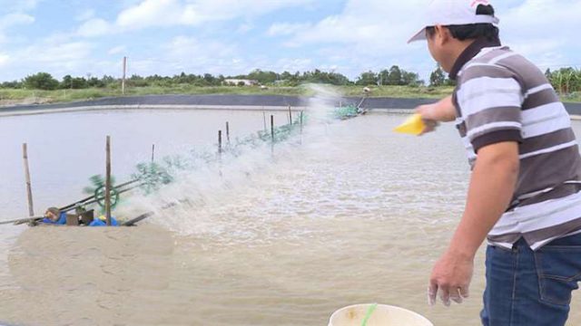 Chuyển đất trồng lúa thành ao nuôi cá không xin phép có được không?