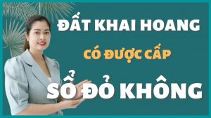 Đất khai hoang là gì và có được cấp Sổ đỏ không?