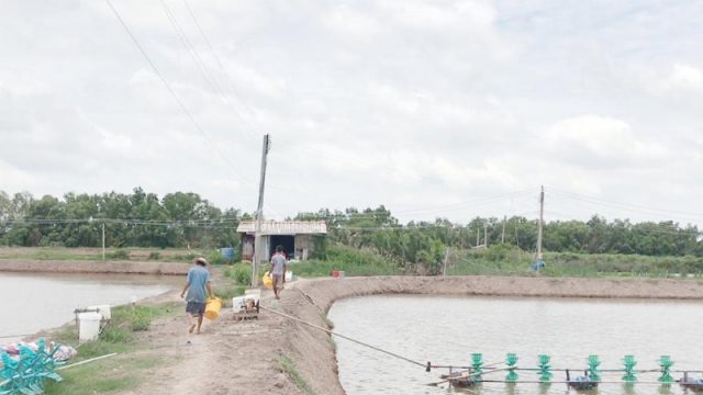 Có được chuyển đổi đất nuôi trồng thủy sản sang đất thổ cư không?