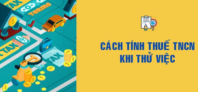 Nộp thuế thu nhập cá nhân trong thời gian thử việc