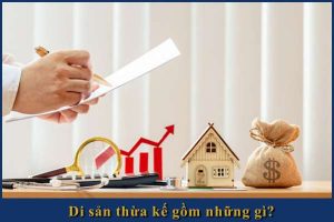 Văn phòng luật sư tư vấn chia thừa kế uy tín tại Dương Kinh