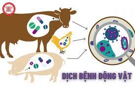 Quy hoạch vùng và cơ sở an toàn dịch bệnh động vật