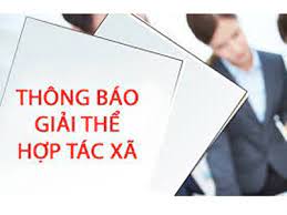 Tư vấn thủ tục giải thể hợp tác xã tại Quận Đồ Sơn