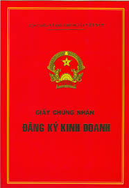 Cơ quan có thẩm quyền cấp giấy phép đăng ký kinh doanh tại Huyện An Lão