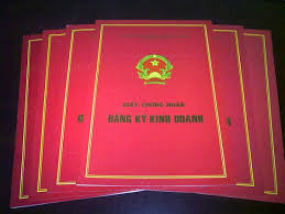 Cơ quan có thẩm quyền cấp giấy phép đăng ký kinh doanh tại Quận Hồng Bàng