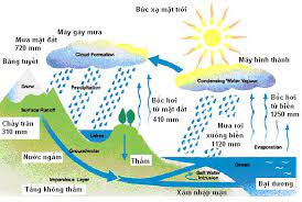 Nguyên tắc hoạt động khí tượng thủy văn