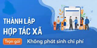 Trình tự, thủ tục thành lập hợp tác xã tại Quận Hồng Bàng