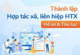 Tư vấn thủ tục thành lập hợp tác xã tại Huyện Thủy Nguyên