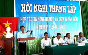 Trình tự, thủ tục thành lập hợp tác xã tại Huyện Thủy Nguyên