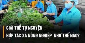 Tư vấn thủ tục giải thể hợp tác xã tại Quận Kiến An