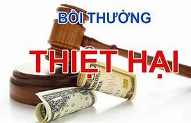 Nguyên tắc bồi thường thiệt hại trong cung ứng và sử dụng dịch vụ bưu chính?