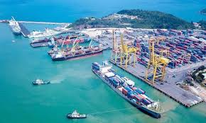 Trách nhiệm của người khai hải quan, người chỉ huy hoặc người điều khiển phương tiện vận tải trong hoạt động giám sát hải quan