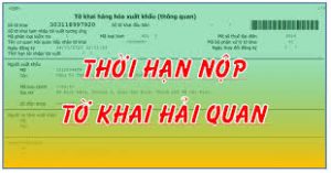 Thời hạn khai và nộp tờ khai được thực hiện như thế nào