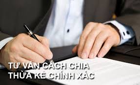 Luật sư giỏi uy tín tư vấn thủ tục phân chia di sản thừa kế tại Huyện Kỳ Sơn, tỉnh Hòa Bình