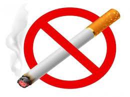 Quy định về việc thành lập Quỹ phòng, chống tác hại của thuốc lá như thế nào?