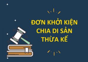 Tư vấn soạn thảo đơn khởi kiện chia thừa kế tại Quận 7