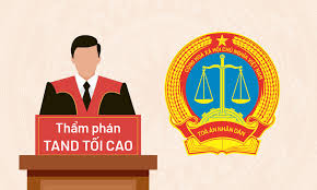 Thẩm phán Tòa án Quận 12 hướng dẫn thủ tục khởi kiện phân chia di sản thừa kế