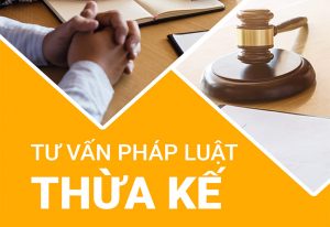 Văn phòng luật sư chuyên tư vấn thủ tục chia thừa kế tại Huyện Đô Lương