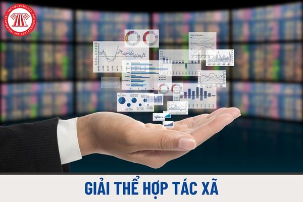 Tư vấn thủ tục giải thể hợp tác xã tại Quận Cầu Giấy