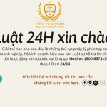 Thủ tục thành lập Công ty tại Quận 6